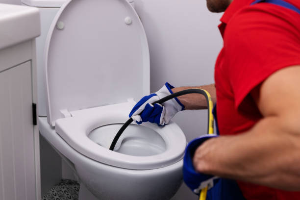 Best Plumbing Services Near Me  in Fox River Grove, IL