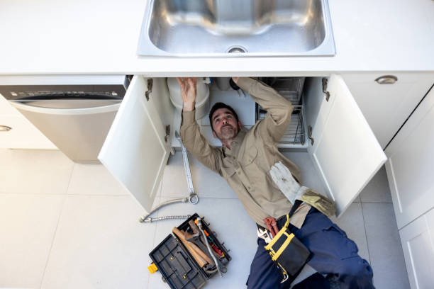 Best Same-Day Plumbing Service  in Fox River Grove, IL
