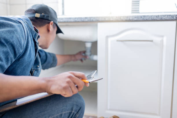 Best Local Plumber Services  in Fox River Grove, IL